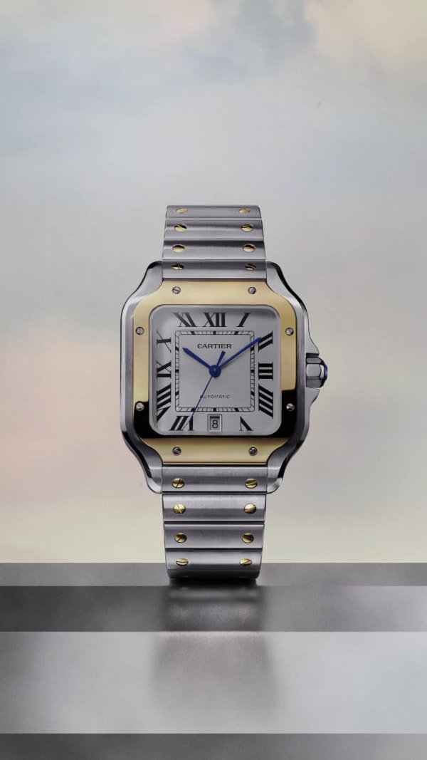 Cartier watches elegance and craftsmanship